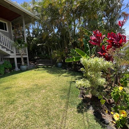 Private Ohana On The Lush Hamakua Coast With Ac Honokaa Buitenkant foto