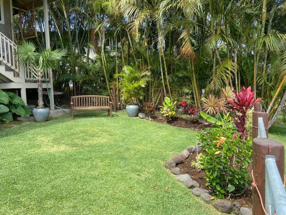 Private Ohana On The Lush Hamakua Coast With Ac Honokaa Buitenkant foto