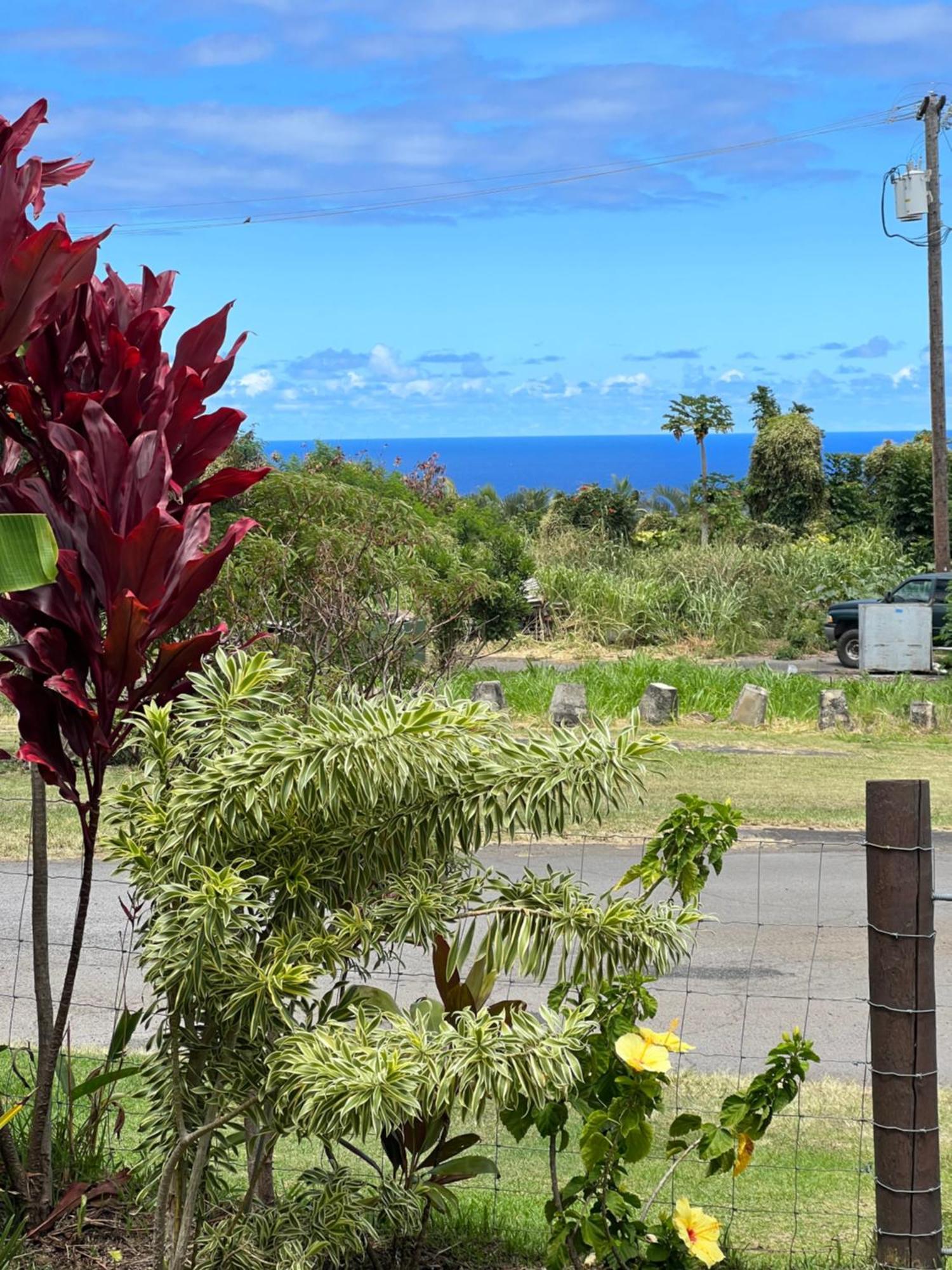 Private Ohana On The Lush Hamakua Coast With Ac Honokaa Buitenkant foto