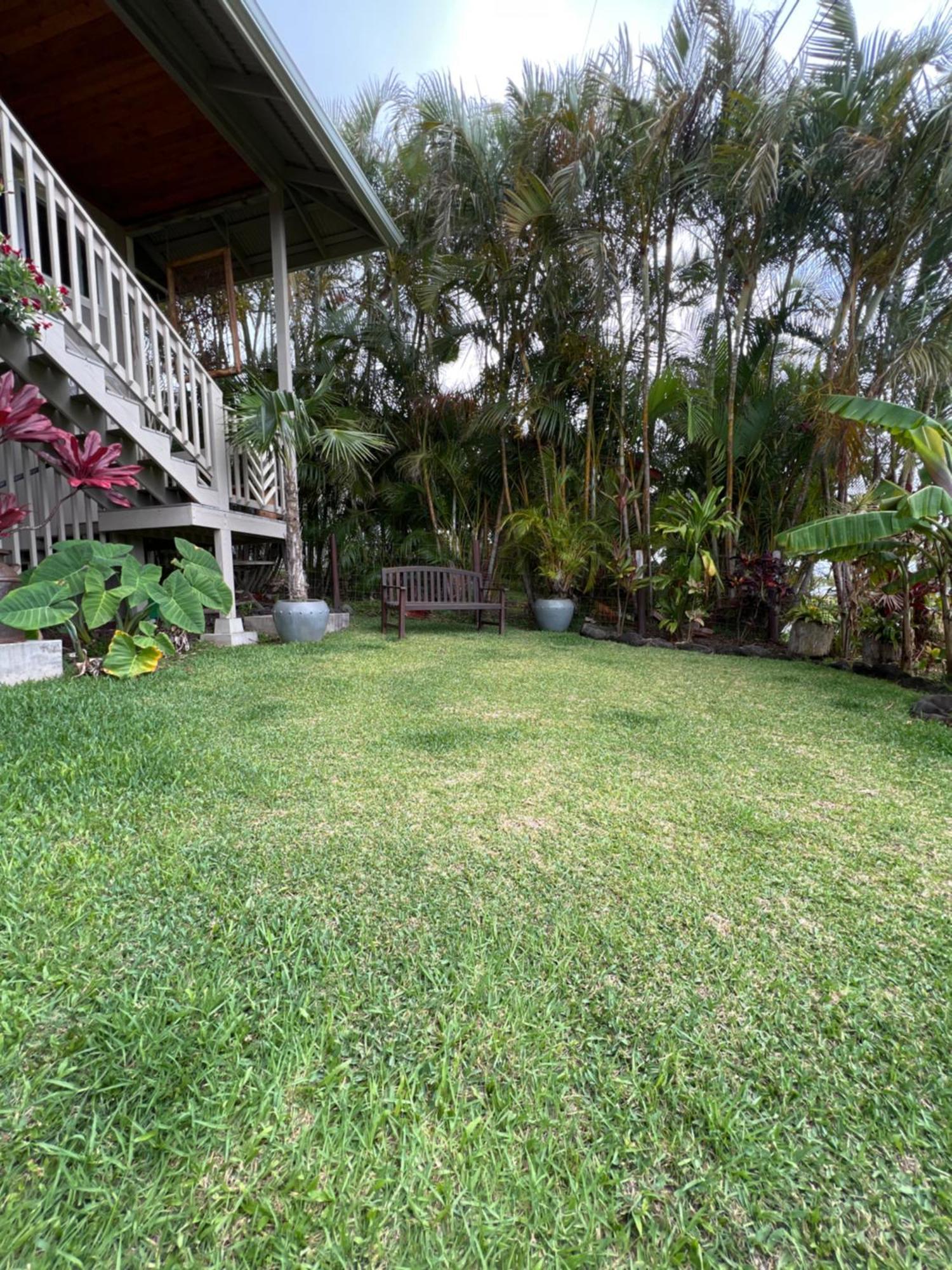 Private Ohana On The Lush Hamakua Coast With Ac Honokaa Buitenkant foto